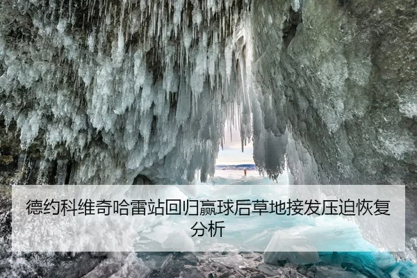 德约科维奇哈雷站回归赢球后草地接发压迫恢复分析