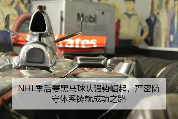 ji-hou-sai-hei-ma-qiu-dui-qiang-shi-jue-qi-yan-mi-fang-shou-ti-xi-zhu-jiu-cheng-gong-zhi-lu-3-688.jpg