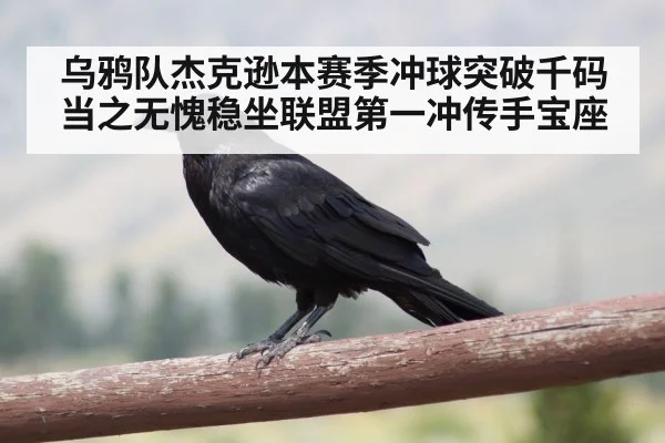 乌鸦队杰克逊本赛季冲球突破千码当之无愧稳坐联盟第一冲传手宝座